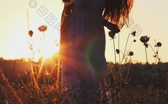 天地争霸美猴王全集高清